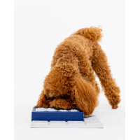 Individuele Pawzler: Louvre